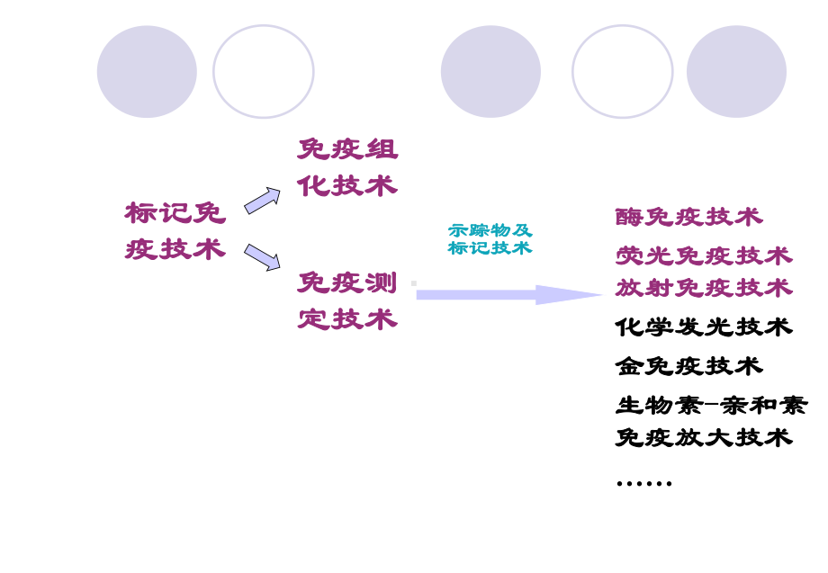 酶免疫技术课件.ppt_第3页