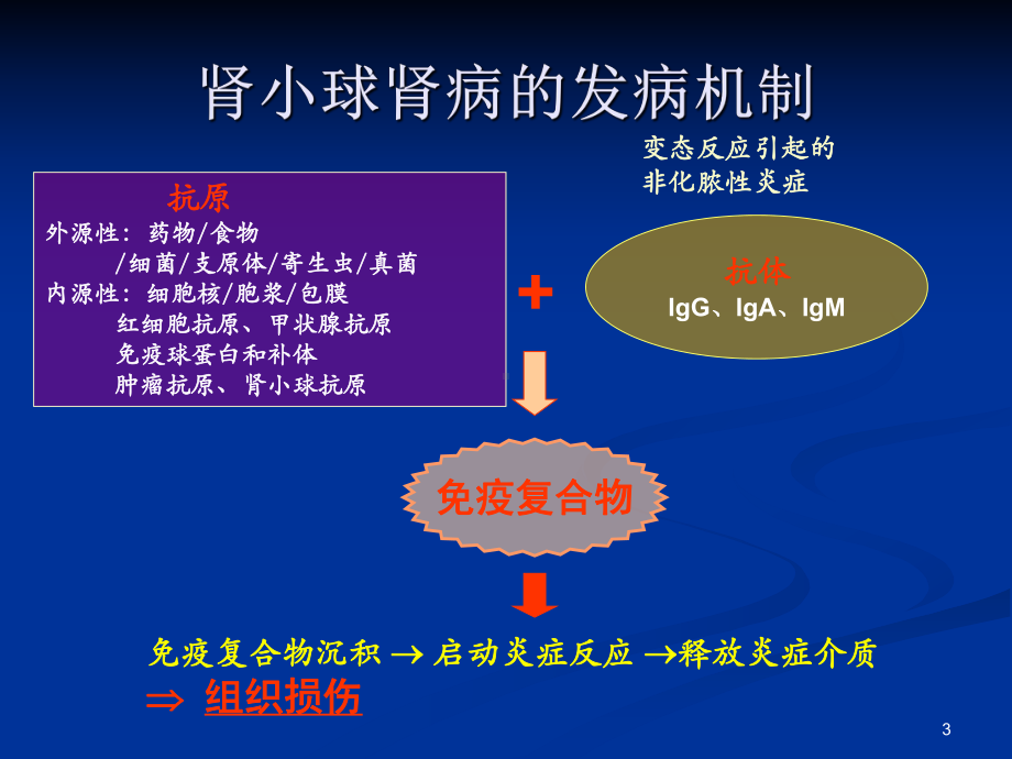 糖皮质激素治疗肾脏病PPT课件.ppt_第3页