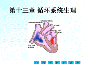 第十三章-循环系统生理-血管生理及心血管活动的调节课件.pptx