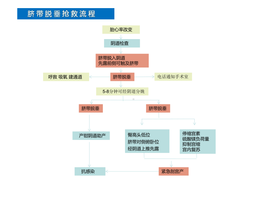 产科急危重症急救流程课件.ppt_第3页