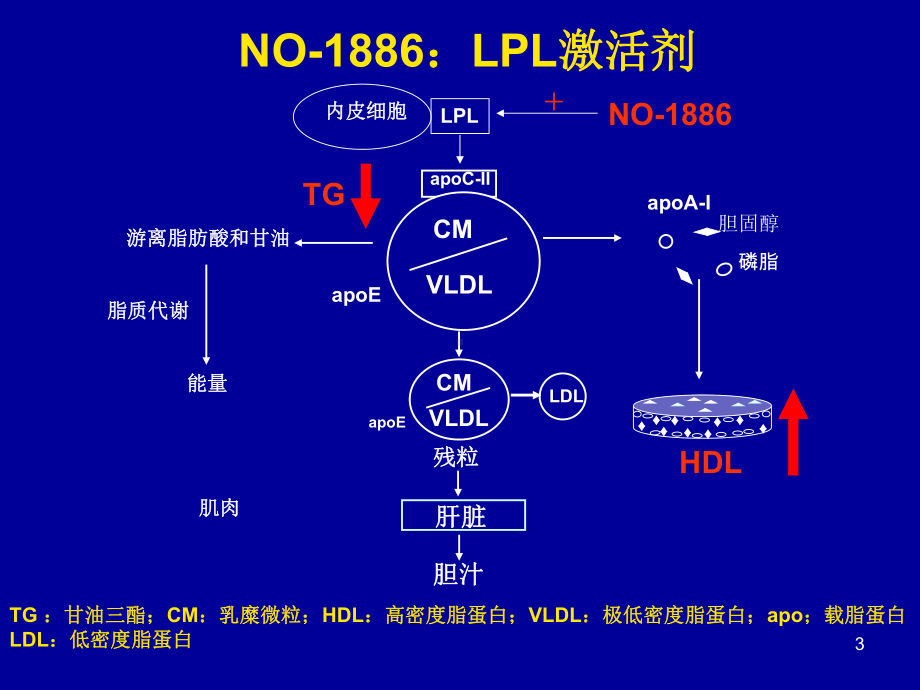 医学课件调节胆固醇逆转运相关基因抑制动脉粥样硬化的作用.ppt_第3页