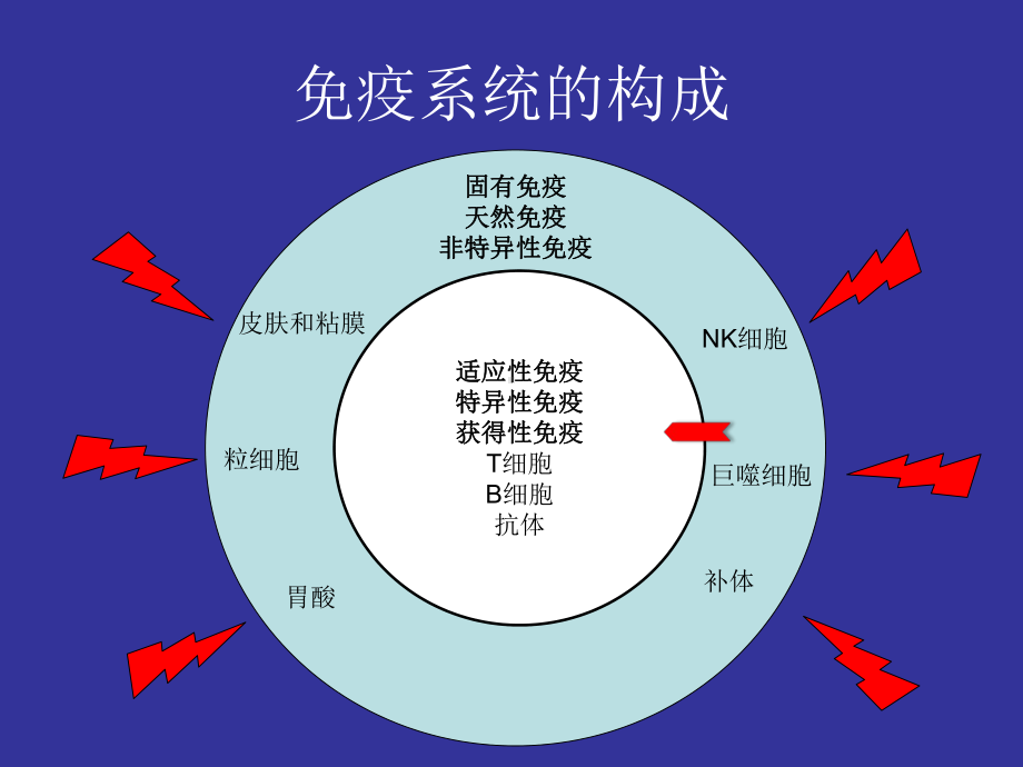 免疫抑制患者感染的治疗精品医学PPT课件.ppt_第3页