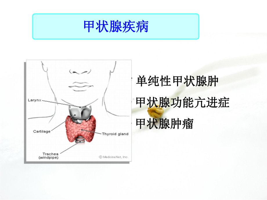 甲状腺疾病病人的护理PPT课件.ppt_第3页