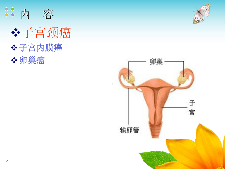 女性生殖系统肿瘤诊治课件.ppt_第2页