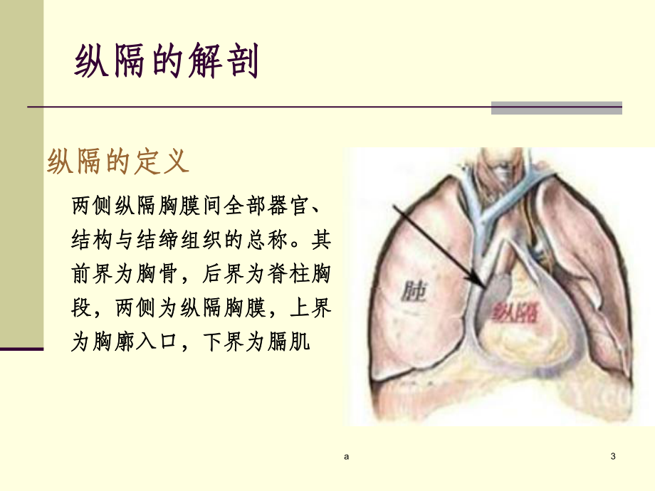 纵膈肿瘤PPT课件.ppt_第3页