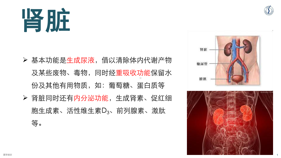 最新慢性肾脏病专题知识主题讲座课件.ppt_第1页