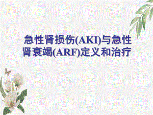 急性肾损伤(AKI)与急性肾衰竭(ARF)定义和课件.ppt