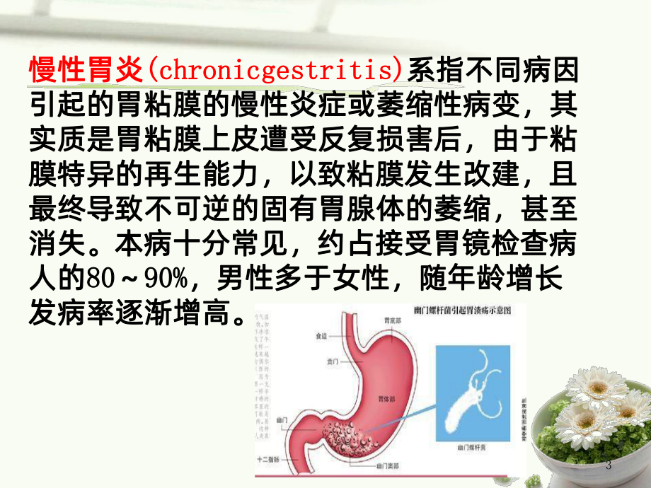 慢性胃炎的健康教育课件.ppt_第3页