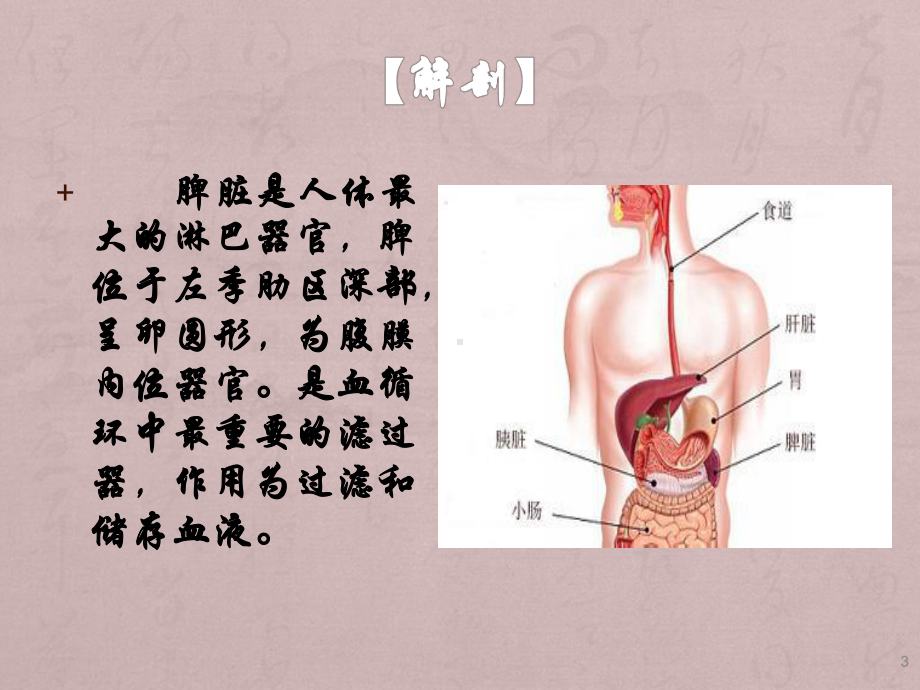 遗传性球形红细胞增多症相关知识PPT课件.ppt_第3页