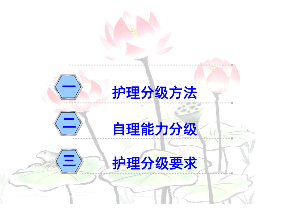 医院护理分级标准解读课件.ppt_第2页