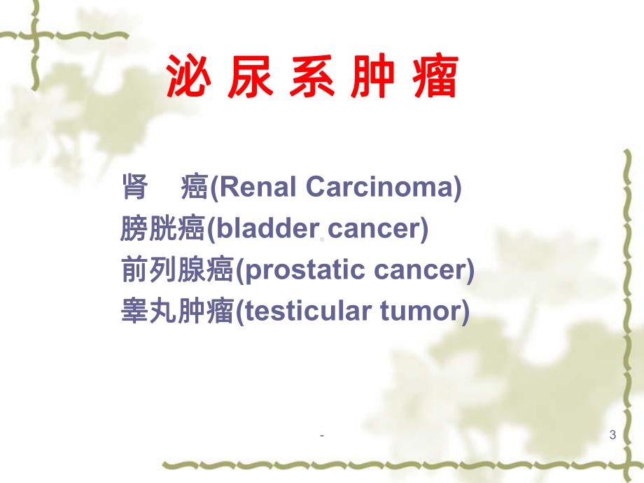 泌尿系统肿瘤PPT课件.ppt_第3页