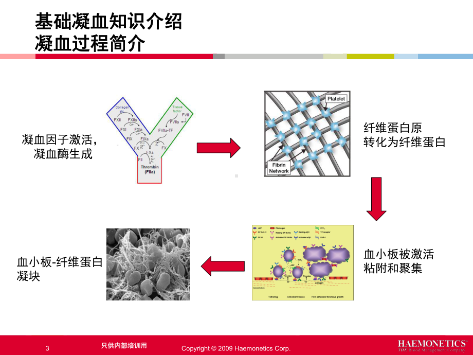 血栓弹力图课件.pptx_第3页