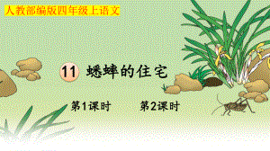 小学四年级上语文11《蟋蟀的住宅》优质课堂教学课件.pptx