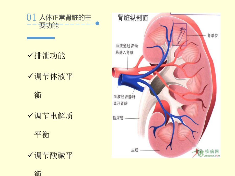 肾透析病人的护理课件.ppt_第2页