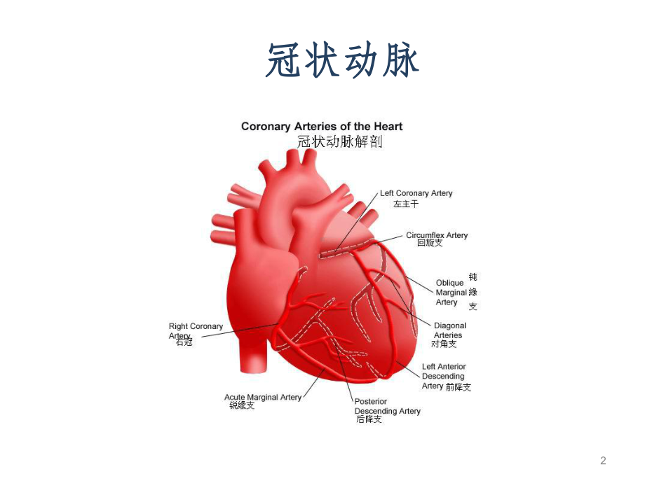 冠心病的常规护理PPT课件.ppt_第2页