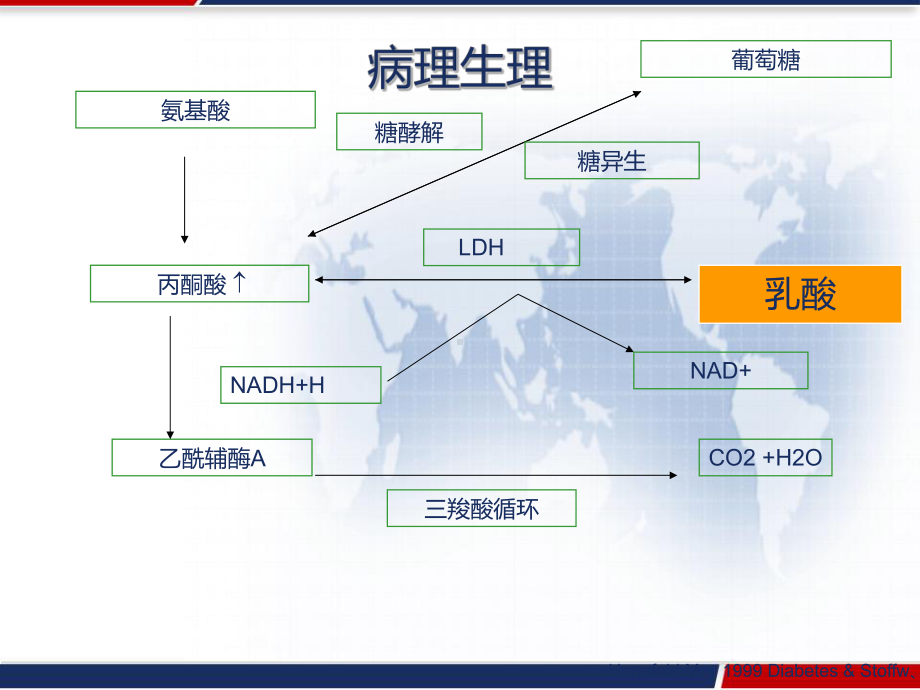 乳酸酸中毒-PPT课件.pptx_第3页