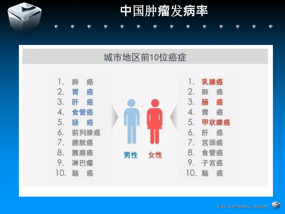 肺癌科普-ppt课件.ppt_第3页