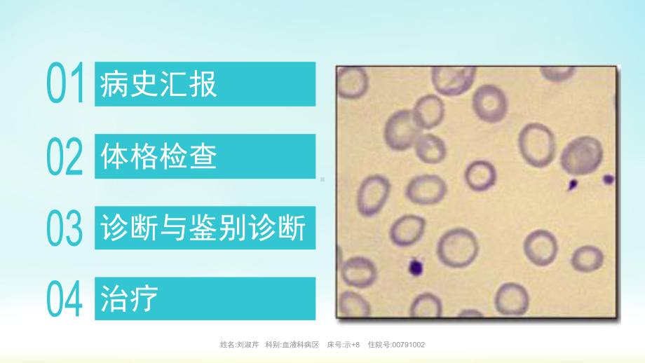 缺铁性贫血教学查房演示课件.ppt_第2页