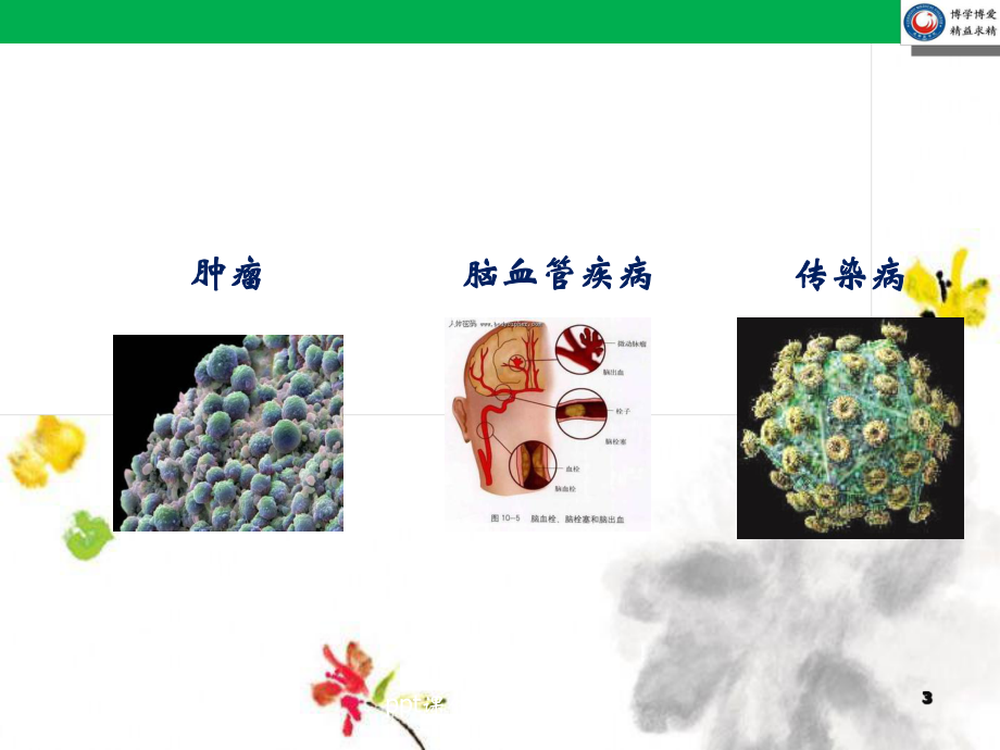 肿瘤标志物及其临床应用-ppt课件.ppt_第3页