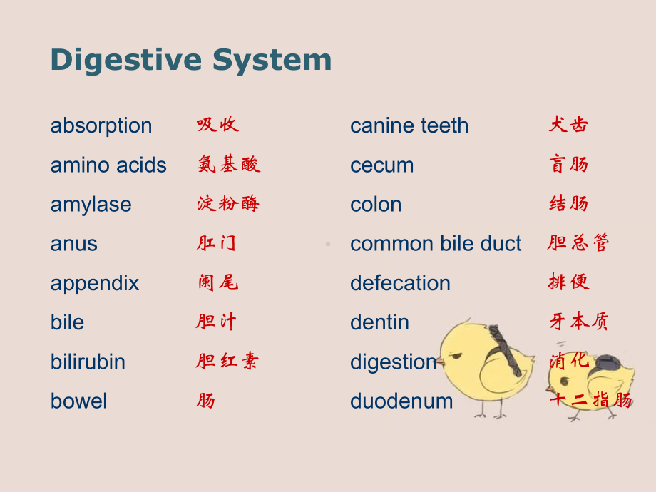 医学汉语和情景对话要求课件.ppt_第3页