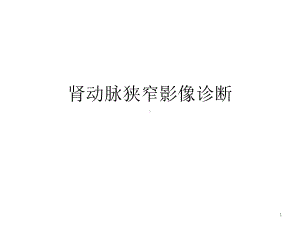 肾动脉狭窄影像诊断PPT课件.ppt