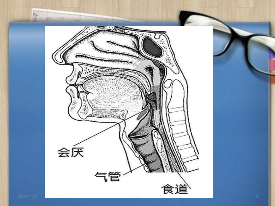 急性会厌炎护理查房PPT课件.ppt_第2页