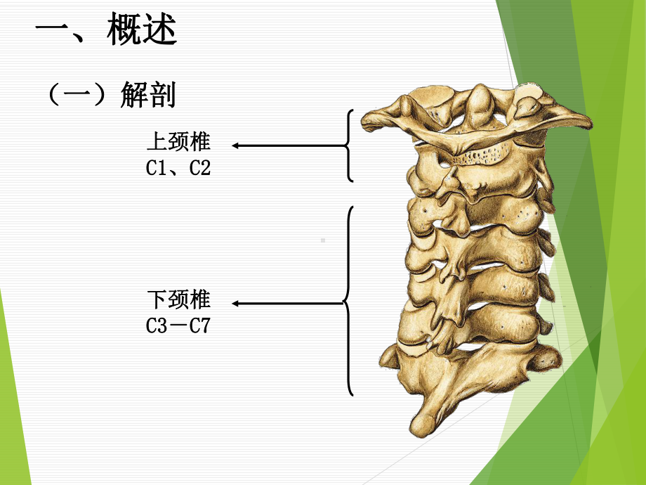 颈脊髓损伤患者的护理课件.ppt_第3页