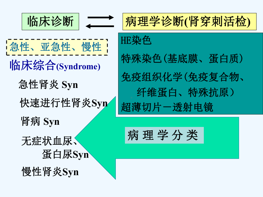 肾小球肾炎的病理变化课件.ppt_第2页