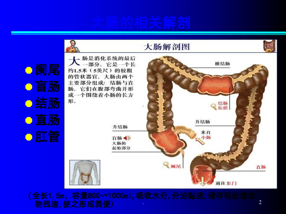 业务学习结直肠癌的护理课件.ppt_第2页