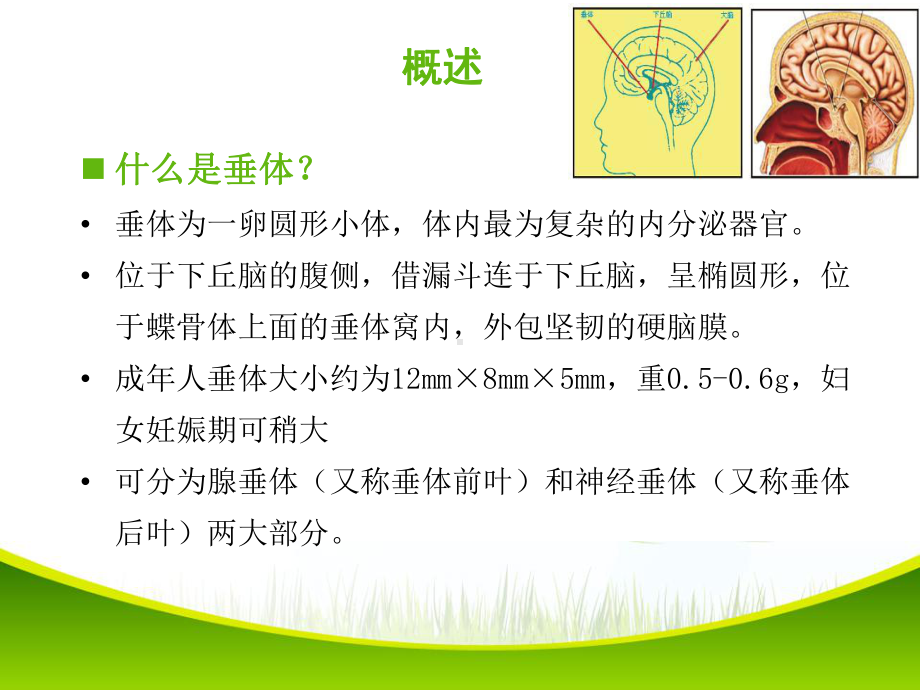 垂体瘤的围手术期护理课件.ppt_第2页