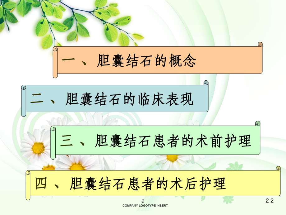 胆囊结石围手术期护理课件.ppt_第2页