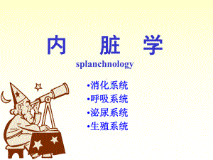 解剖学消化系统第一章消化管课件.ppt