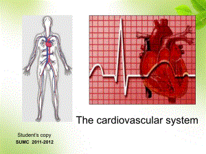医学英语-心脏-PPT课件.ppt