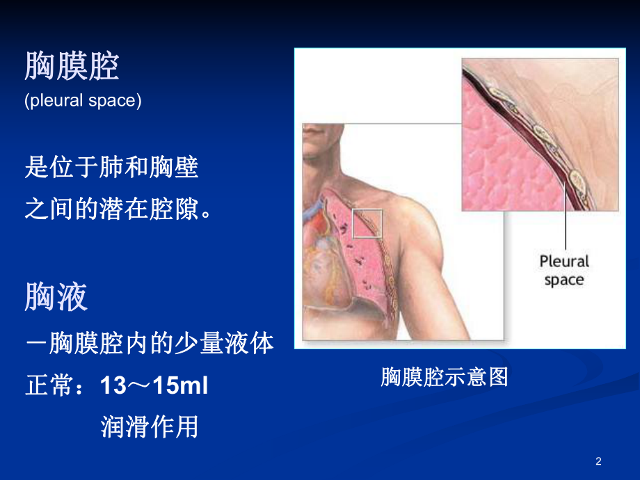 胸腔积液诊治及护理PPT课件.ppt_第2页