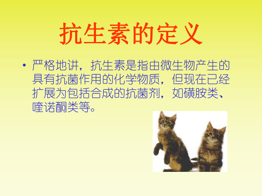 犬猫临床抗生素的应用课件.ppt_第2页