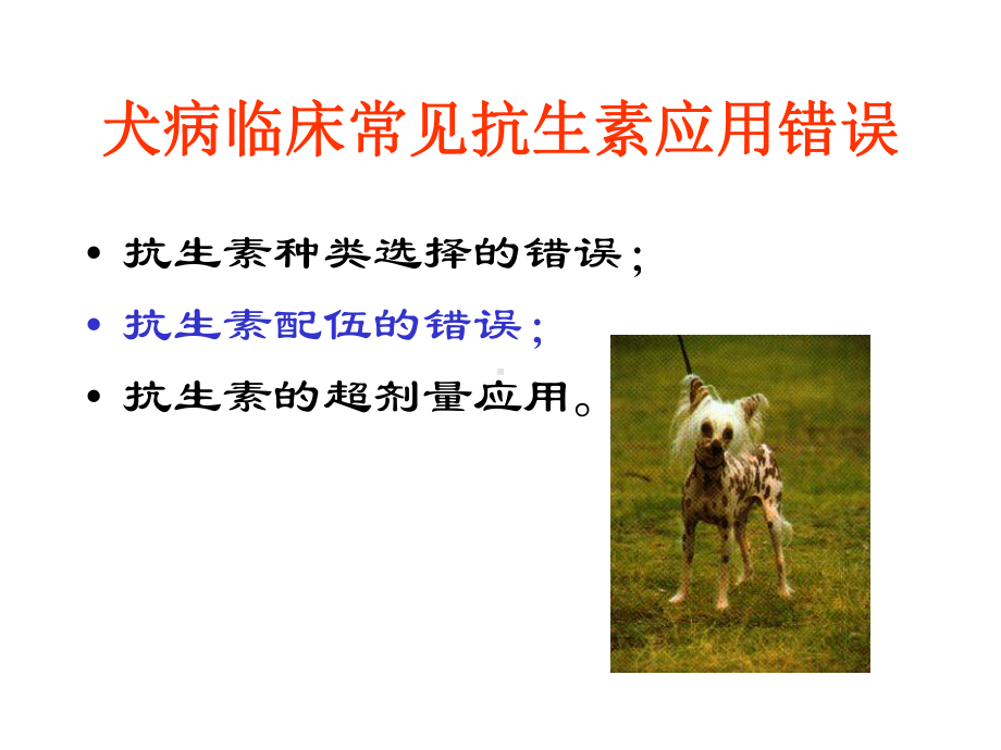 犬猫临床抗生素的应用课件.ppt_第3页