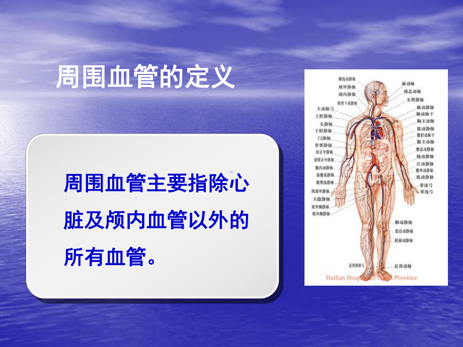 外周血管之介入治疗PPT课件.ppt_第3页