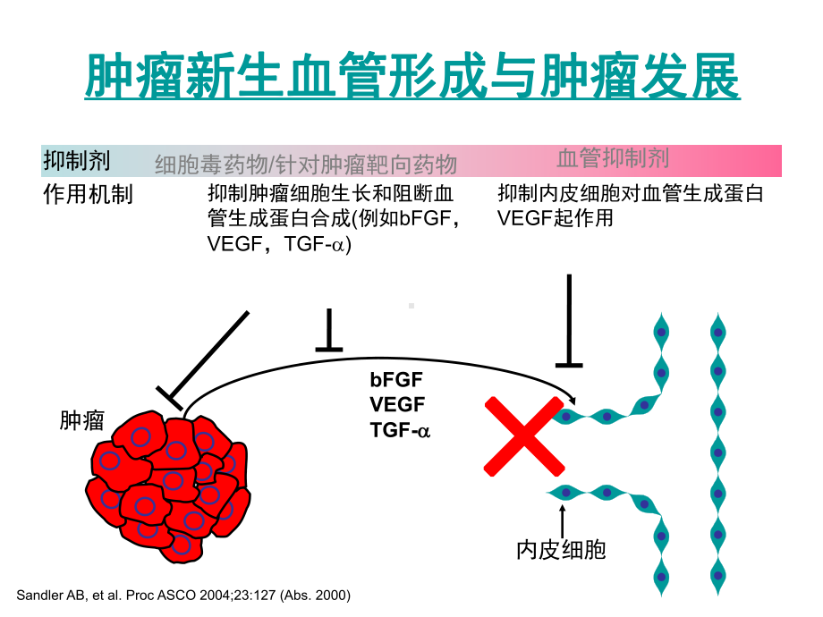 肺癌分子靶向治疗进展课件.ppt_第1页