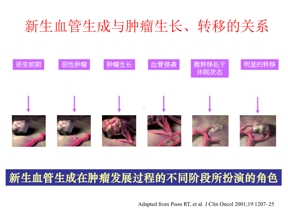 肺癌分子靶向治疗进展课件.ppt_第3页