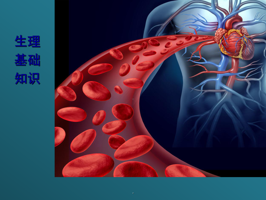 心血管系统基础知识课件.pptx_第2页