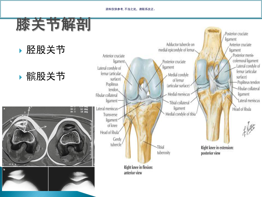 膝关节常见运动损伤讲课课件.ppt_第1页