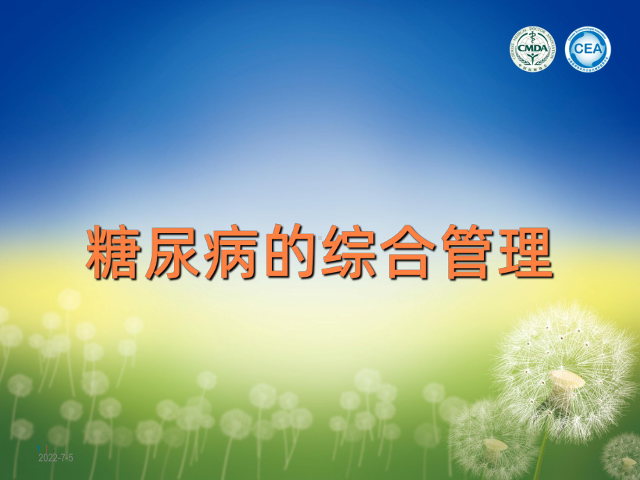 糖尿病的综合管理PPT课件.ppt_第1页