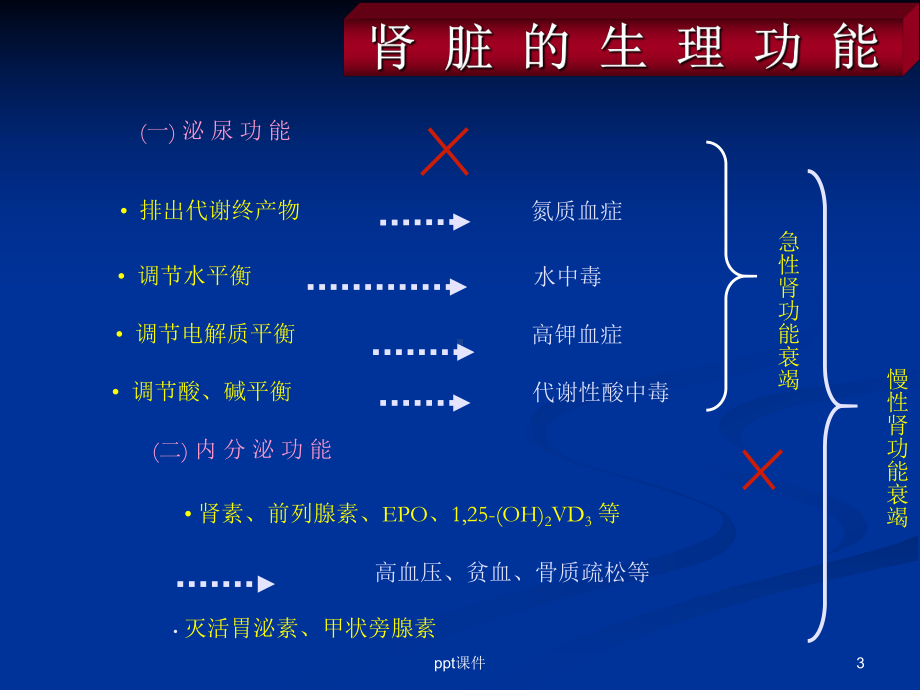 肾功能不全-ppt课件.ppt_第3页