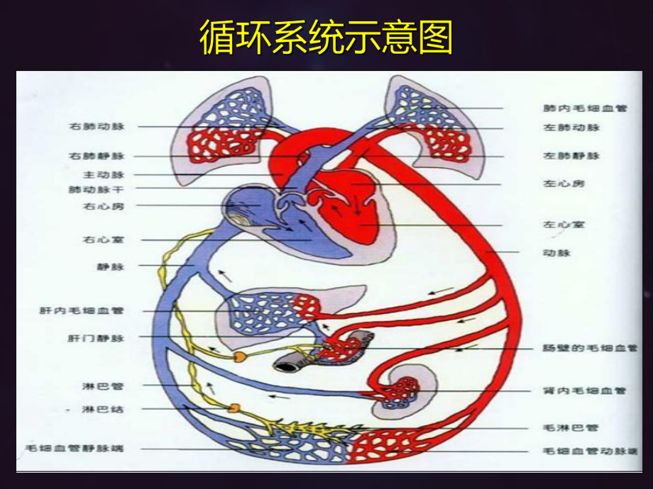 重症心力衰竭的利尿治疗-ppt课件.ppt_第2页