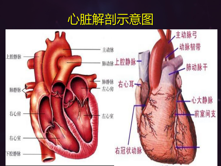 重症心力衰竭的利尿治疗-ppt课件.ppt_第3页