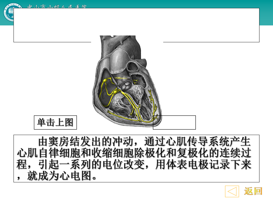 常见心律失常与及处理课件.ppt_第3页