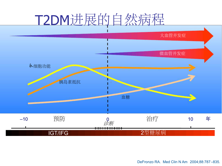 糖尿病口服药物治疗1课件.ppt_第2页