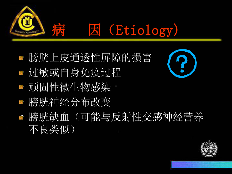 间质性膀胱炎解析PPT课件.ppt_第3页