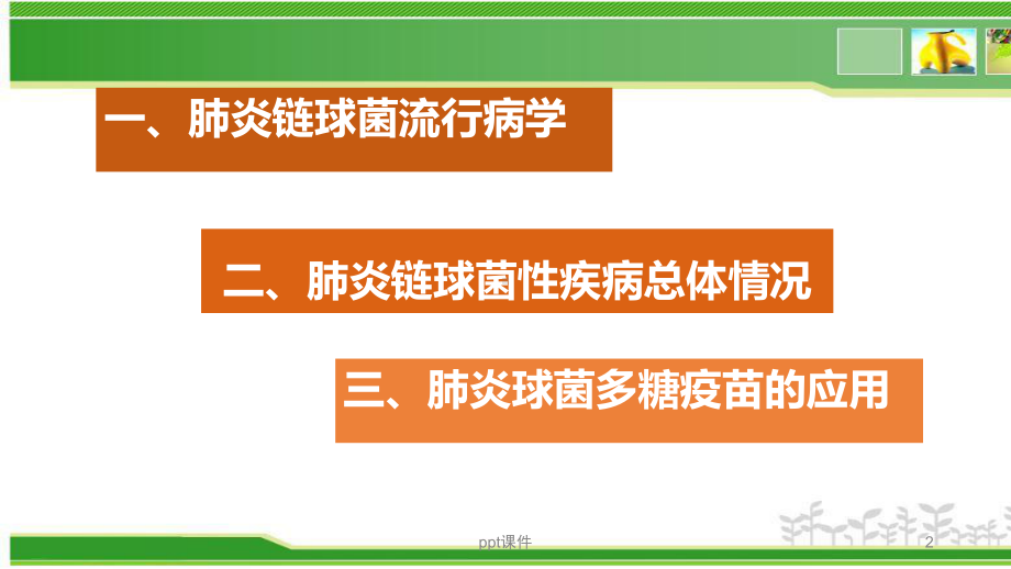 肺炎链球菌及23价肺炎球菌多糖疫苗简介-ppt课件.pptx_第2页