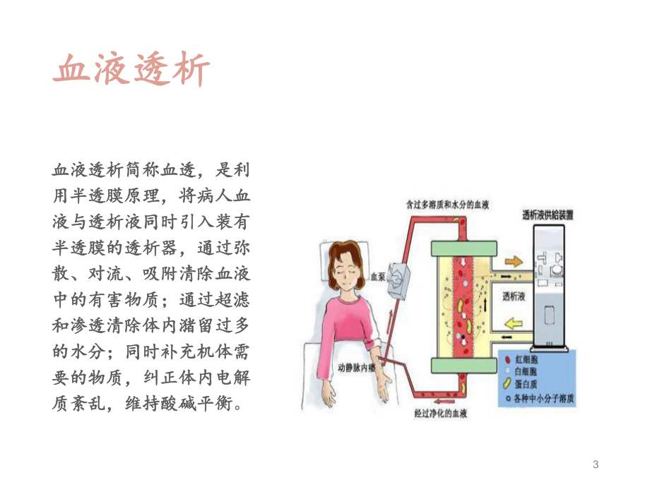 透析病人的护理肾内科PPT课件.ppt_第3页